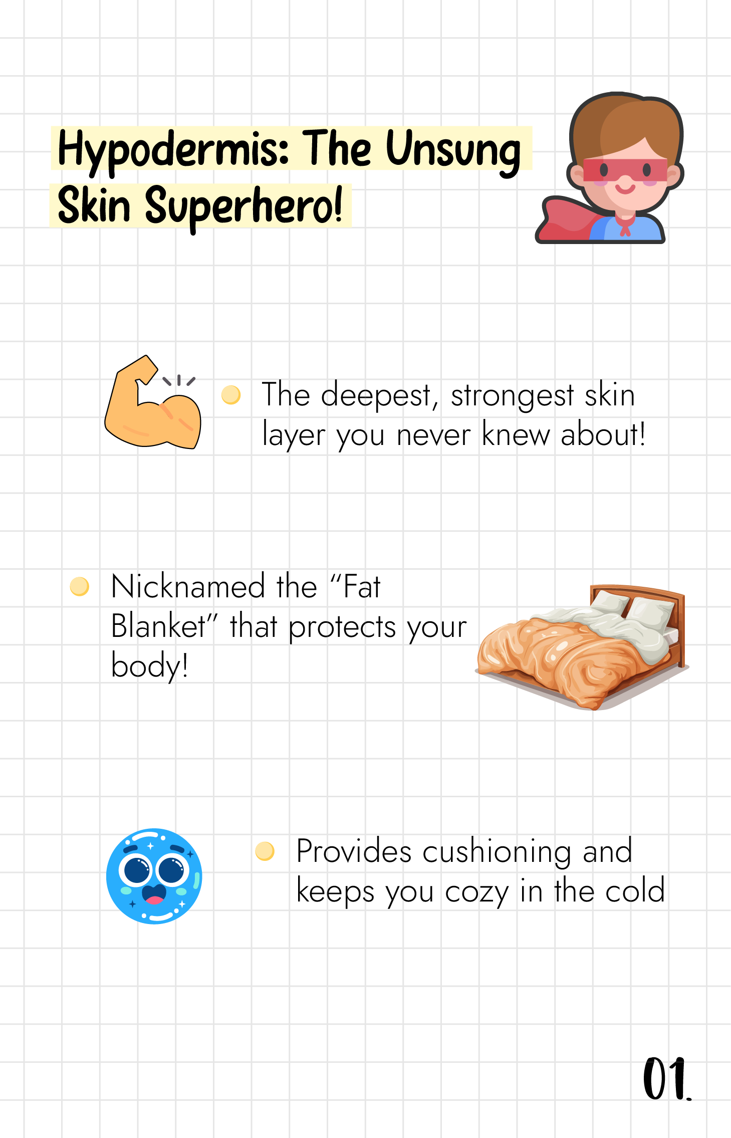 What is "Hypodermis"?