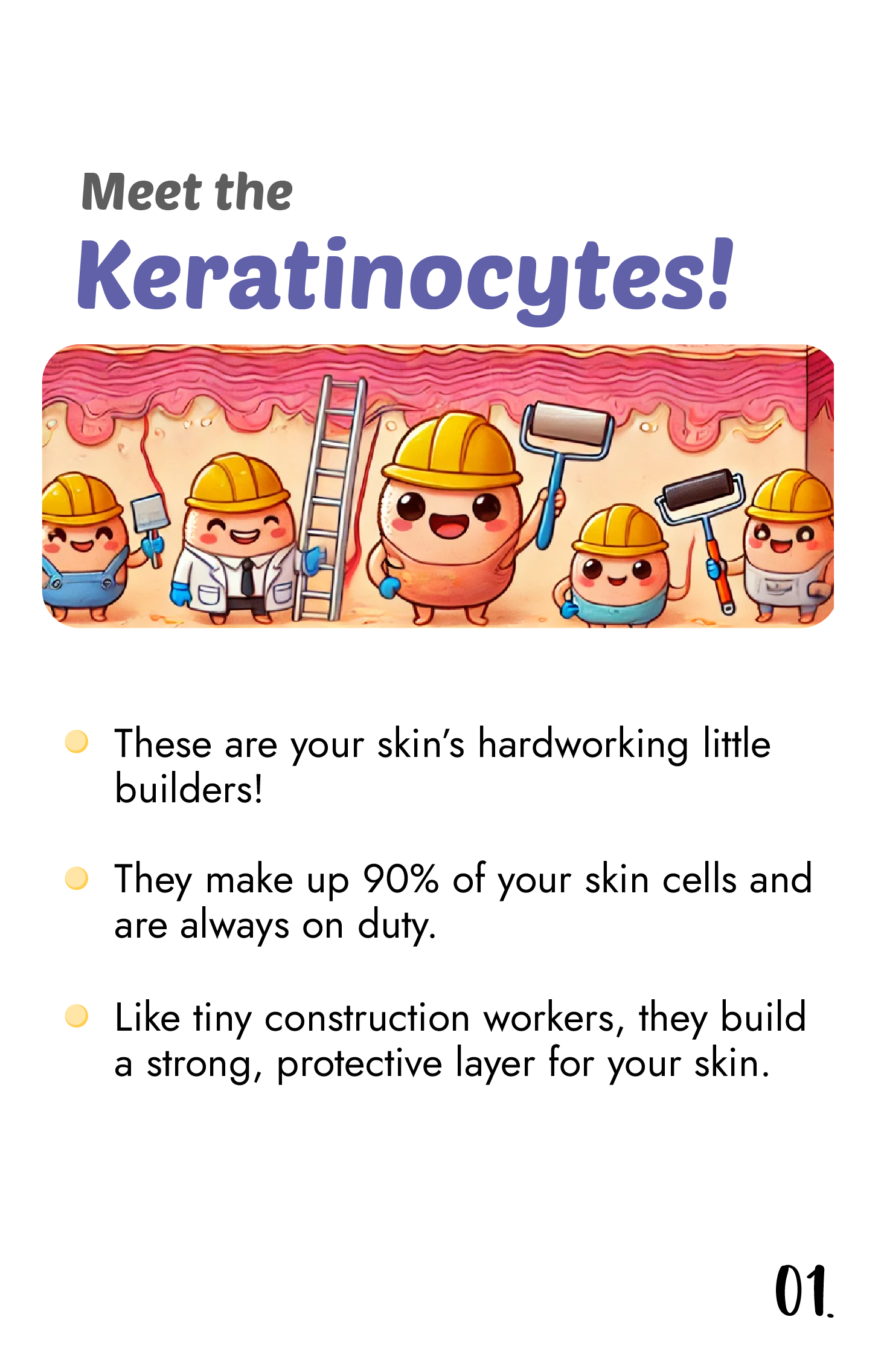 What are "Keratinocytes"?