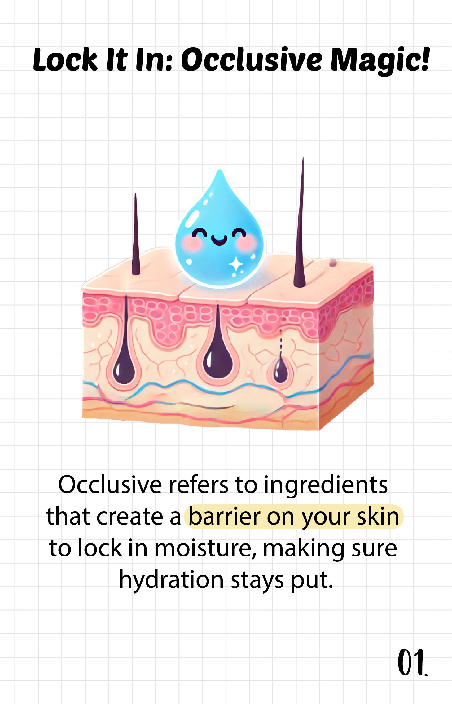 What is an "Occlusive"?