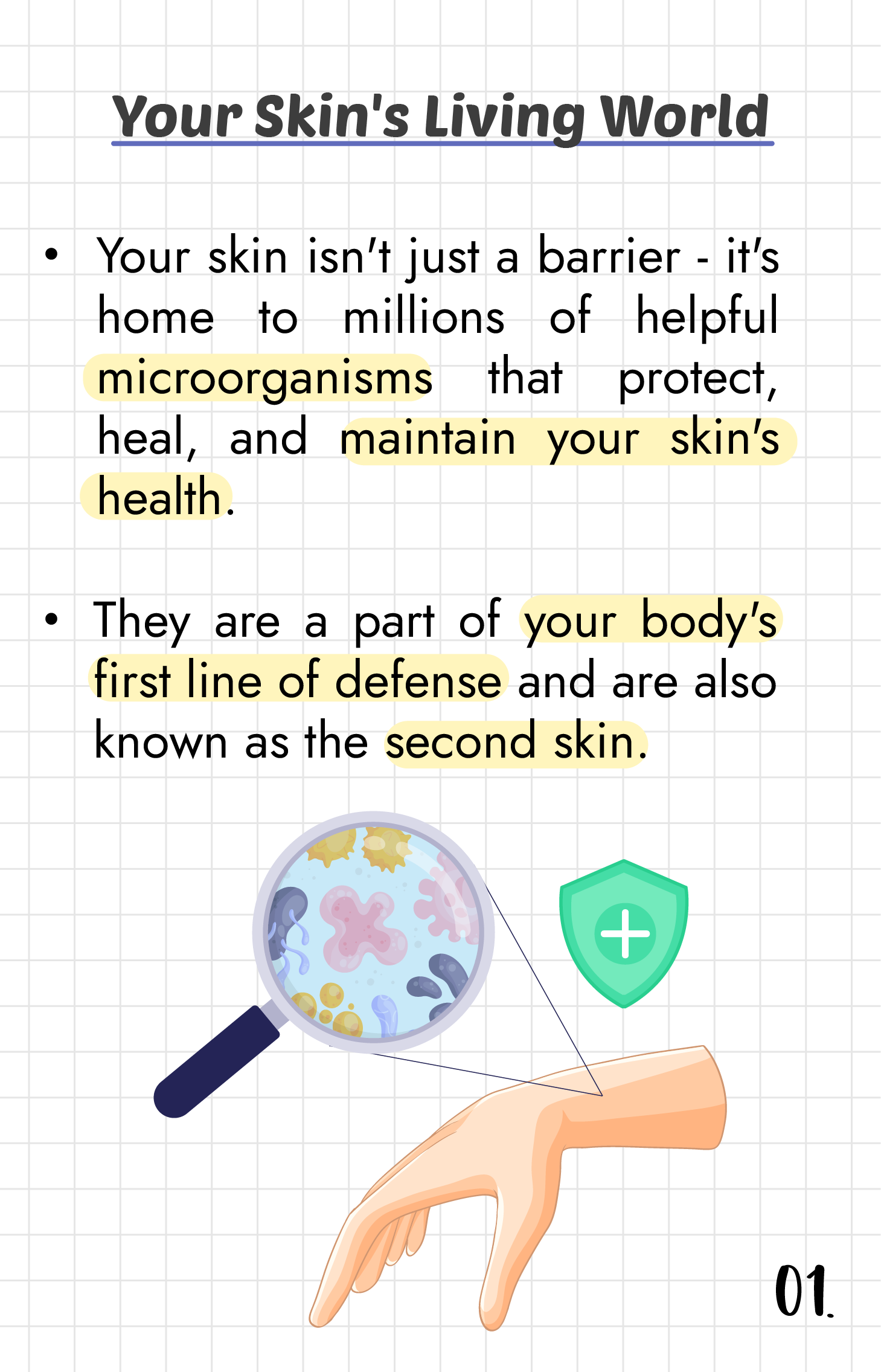 What is the "Skin Microbiome"?