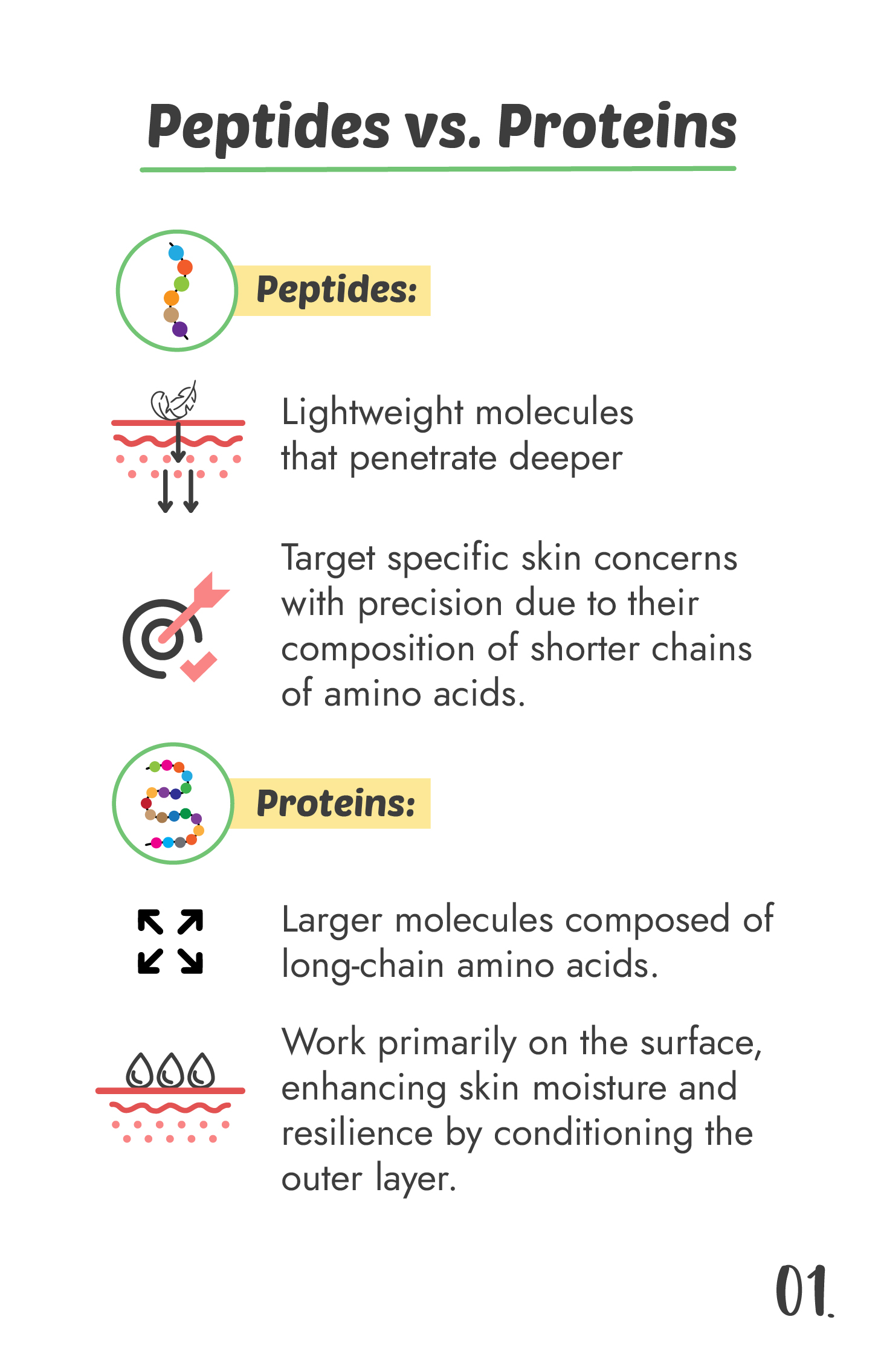 Peptides vs Proteins